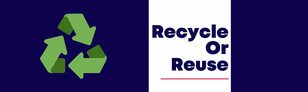 Recycle in Welsh Private School